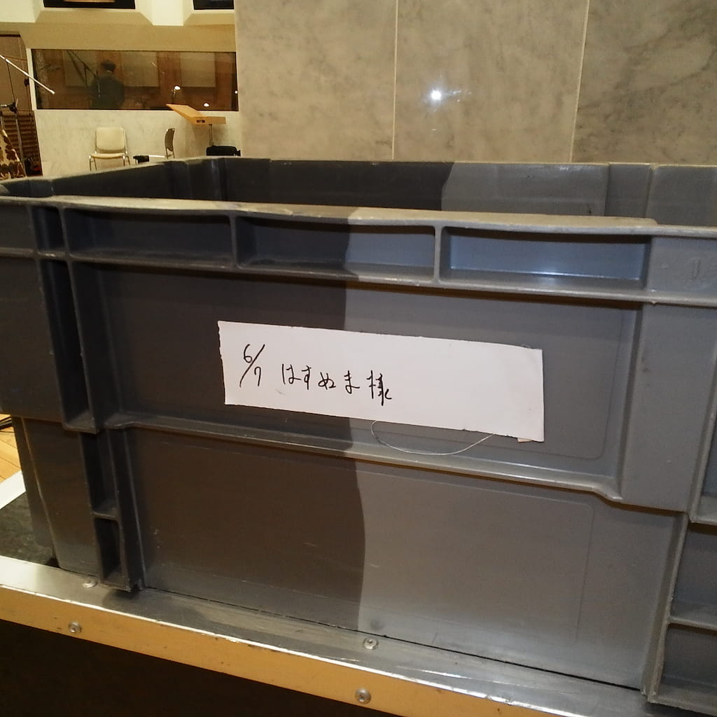 蓮沼執太フィル