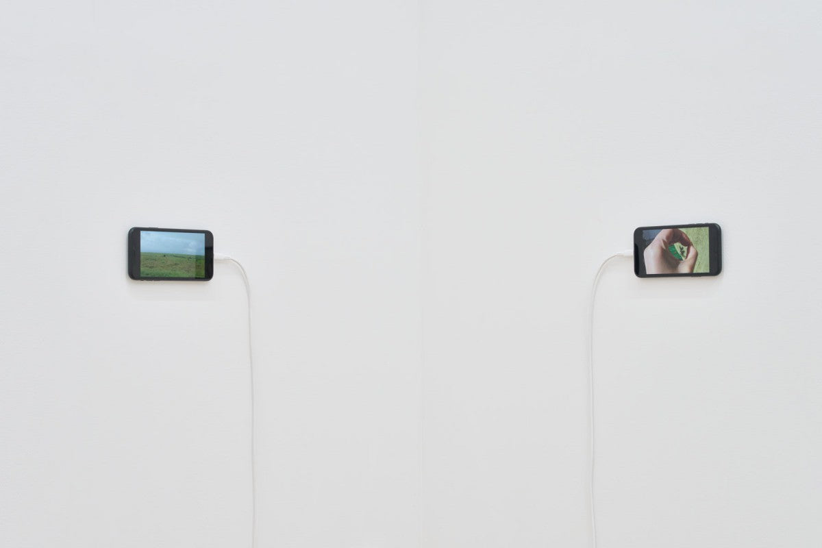 蓮沼執太、楊博、小林七生「HEAR HERE」