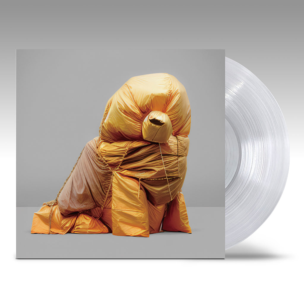 蓮沼執太チーム : TEAM (LP/CLEAR VINYL)