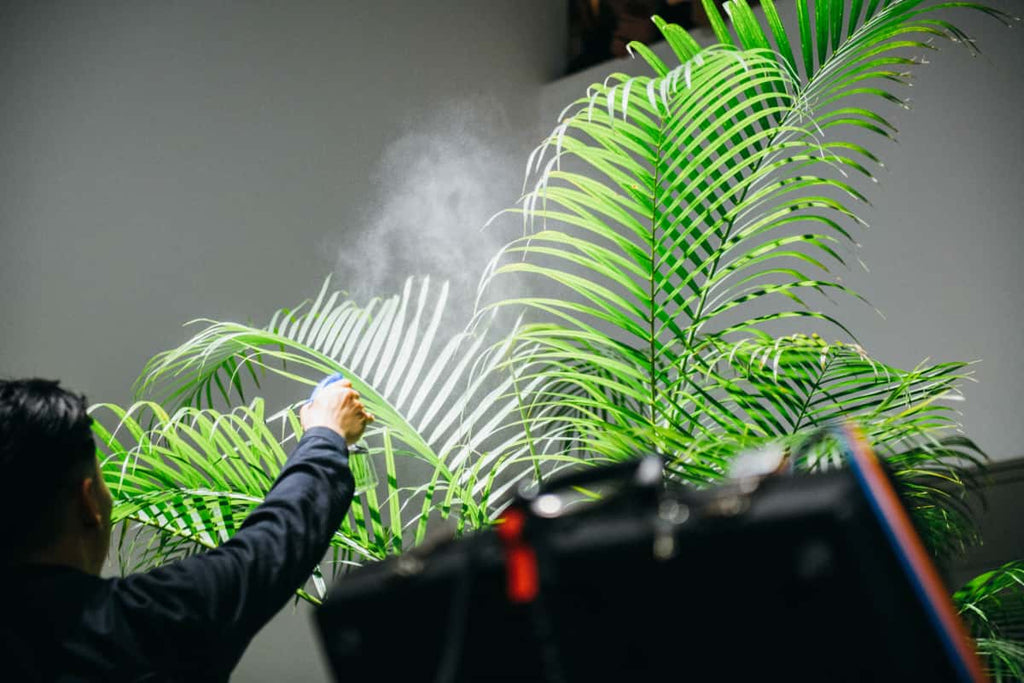 Opening Performance: ~ing