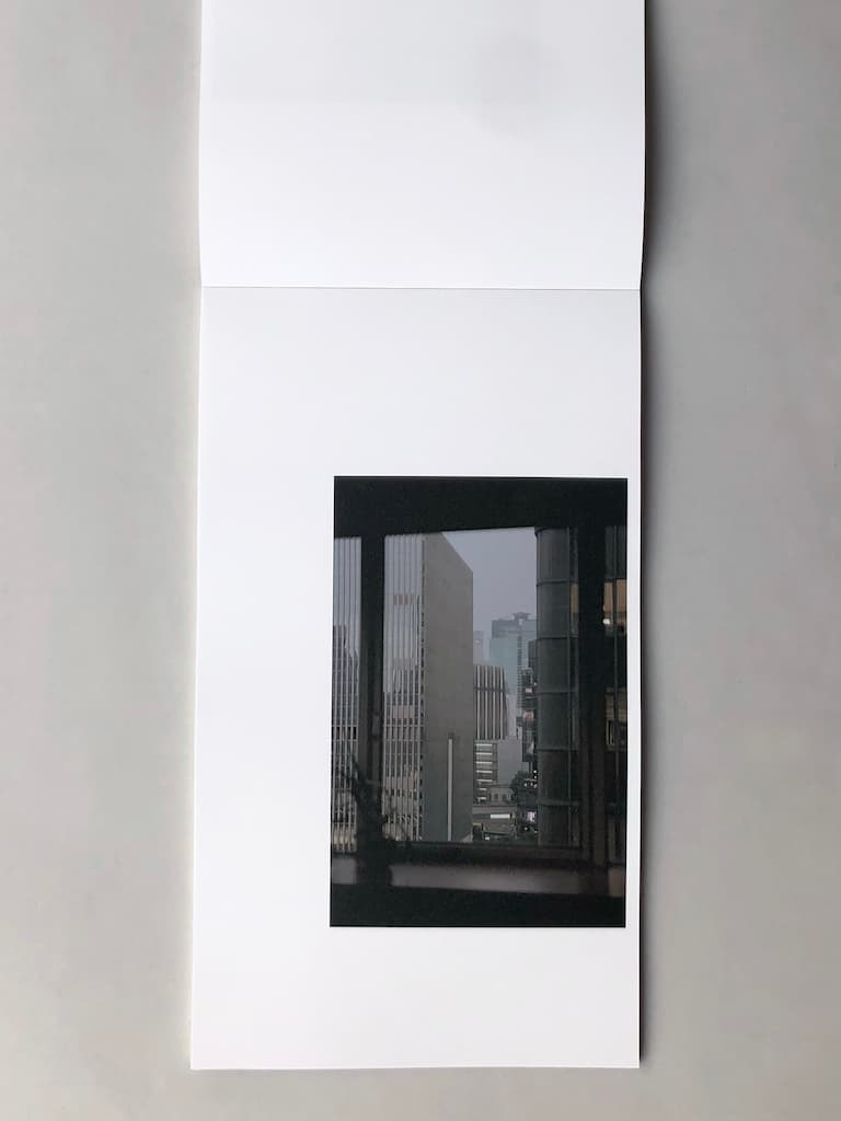 Shuta Hasunuma : unpeople (特別盤 LPボックス)